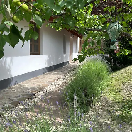 Mezes-kucko Apartment